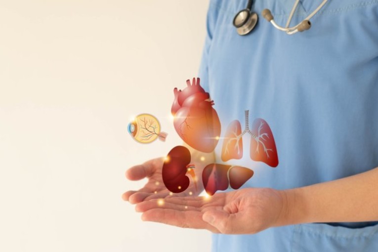 رفض 70% من العائلات أخذ الأعضاء من أقاربهم المتوفين